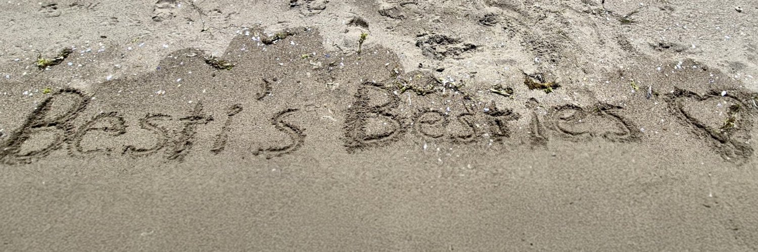 besti #bestisolo's banner