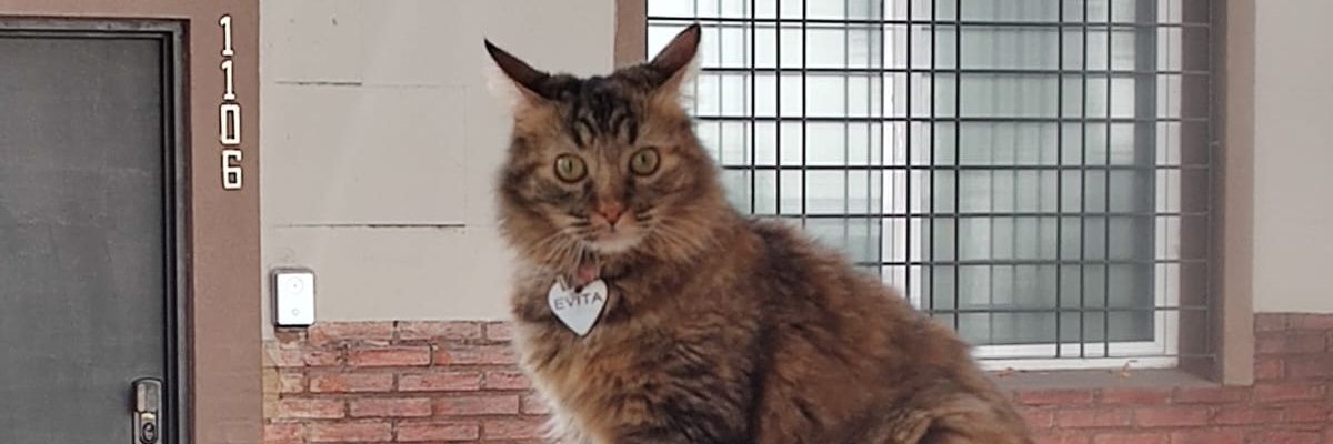 Videos de michissss's banner