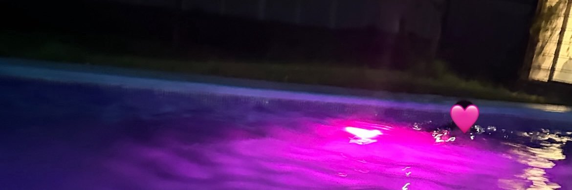 sofi's banner