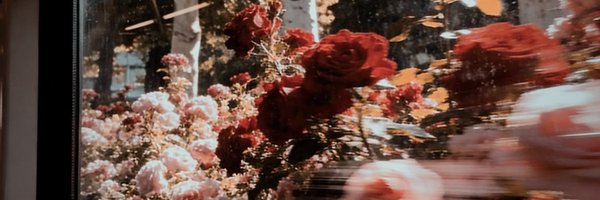 小甜x日记's banner