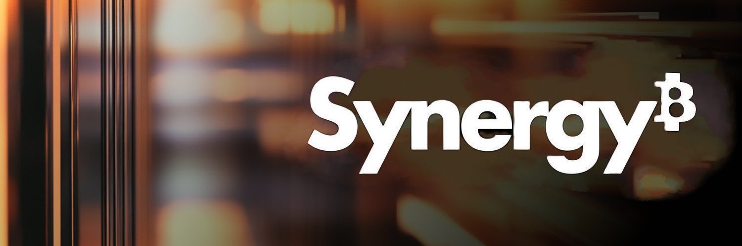 Synergy⚡️'s banner