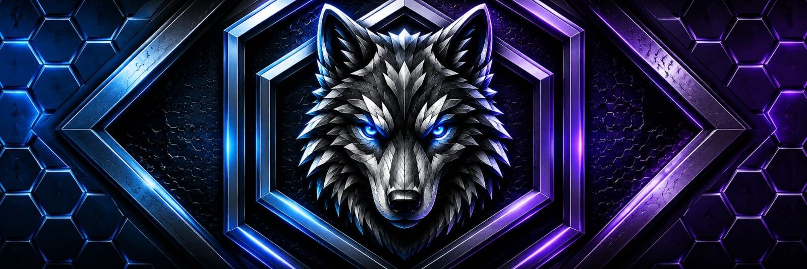 WOLF HXG🐺's banner