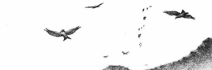 tuna's banner