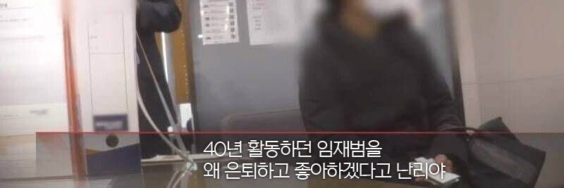 삠삐's banner