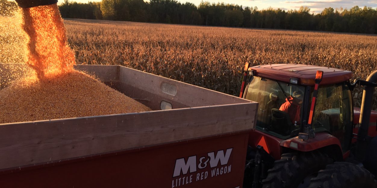 Corn Grower's banner