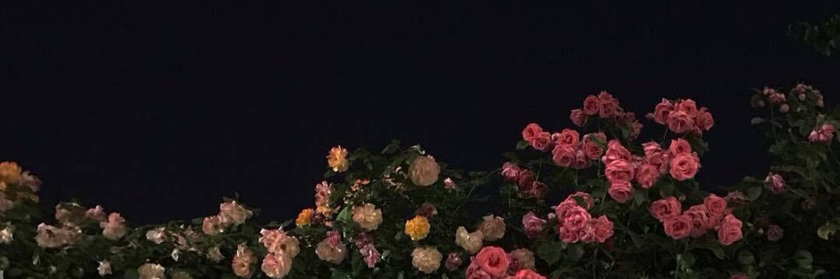 𝘴𝘢𝘣𝘪𝘯𝘰𝘴𝘩🦩's banner