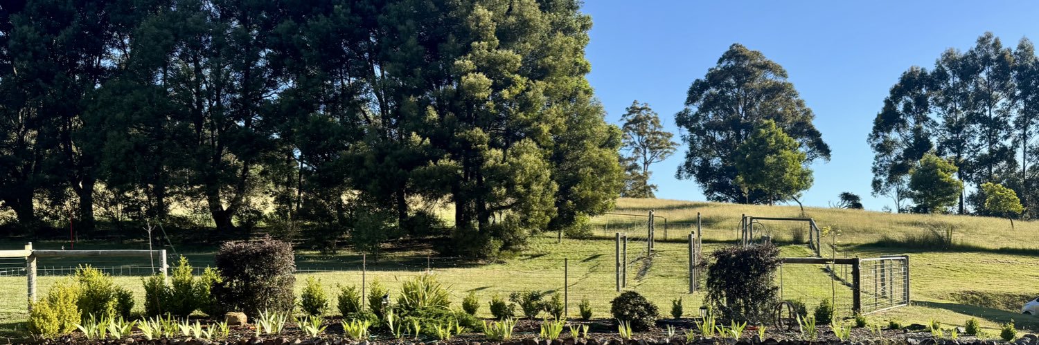 Country Lad🇦🇺's banner