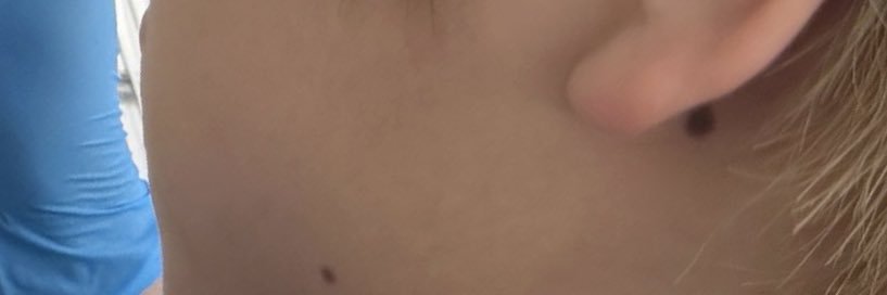 moo..'s banner