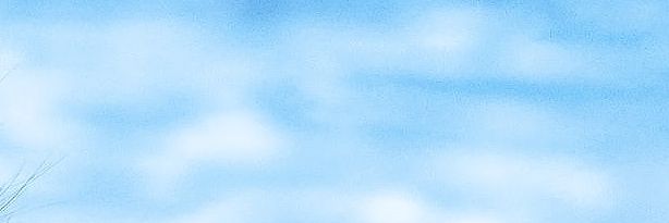 n년전 오늘의 신유's banner