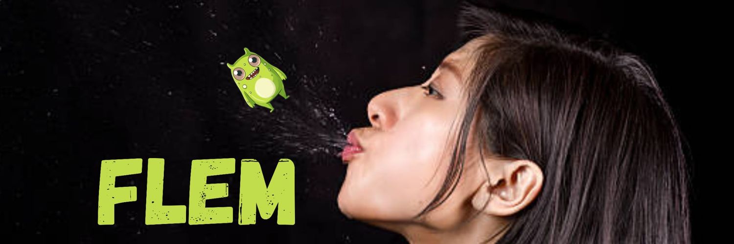 Flem's banner