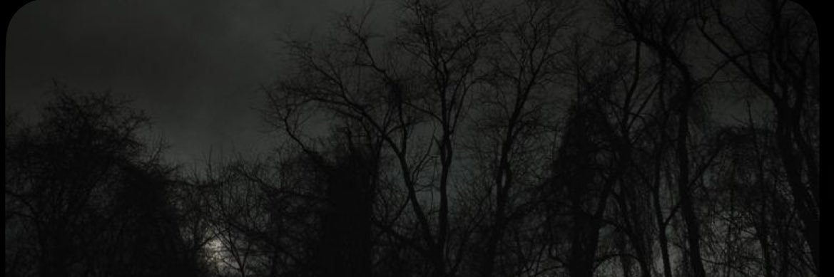 5's banner