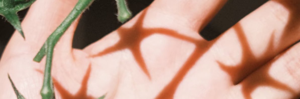 echo_Tu6ao's banner
