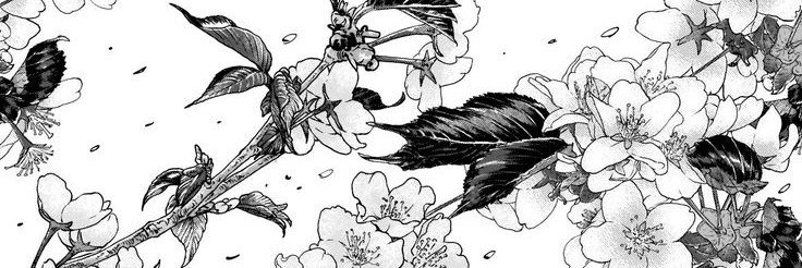 DAIMHÍN ✃'s banner