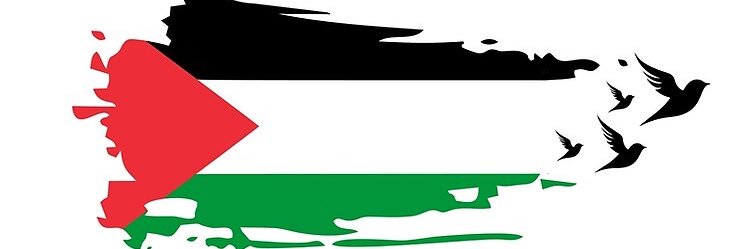 Nour Odeh 🇵🇸🍉 #FreePalestine's banner
