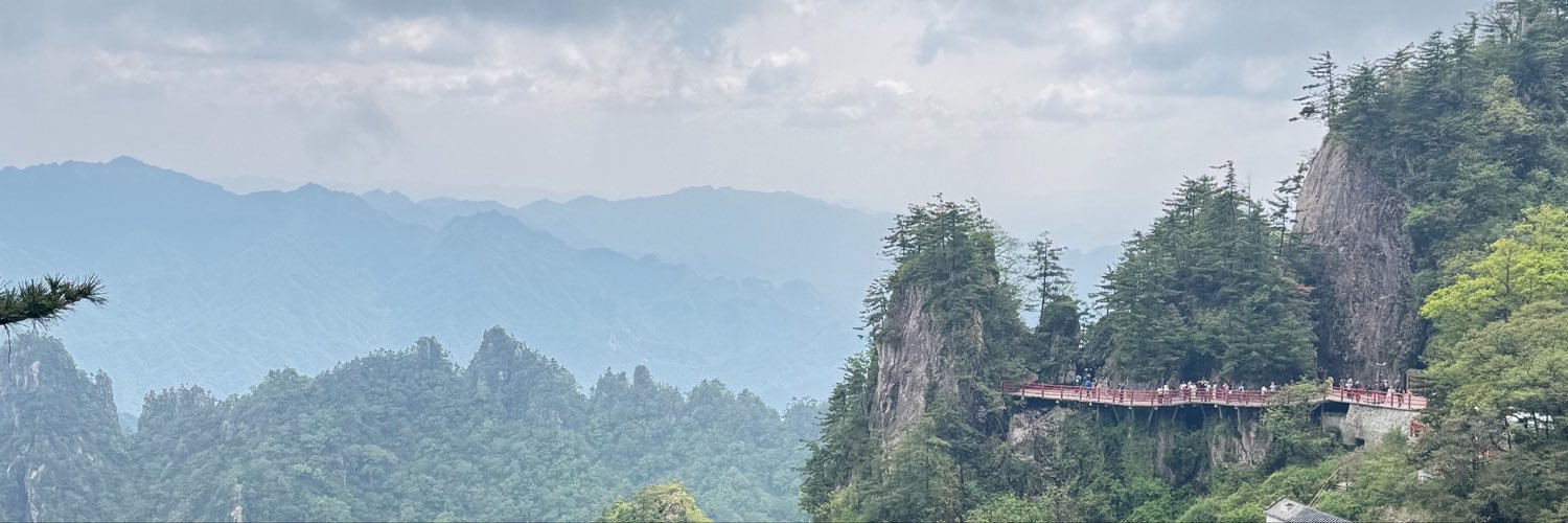 帥's banner