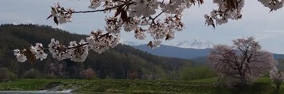 Asahidake Ropeway 大雪山旭岳ロープウェイ's banner