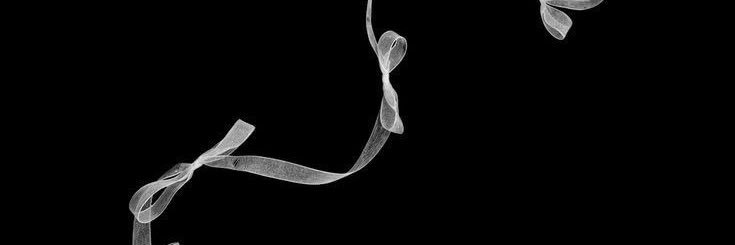 meghan updates🧸ྀི's banner