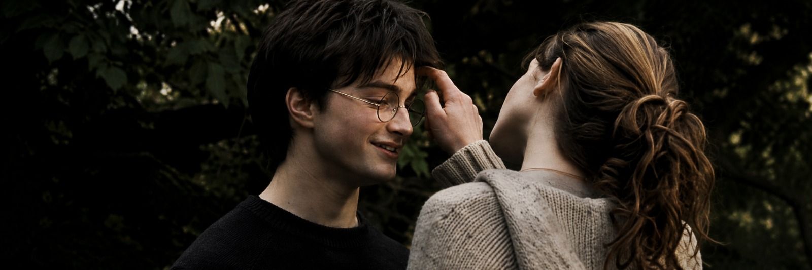 `'s banner
