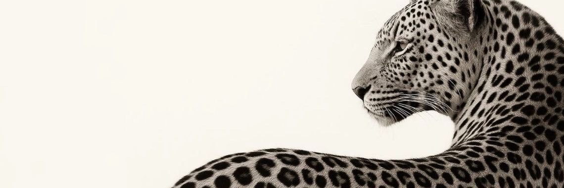 Clara💋's banner