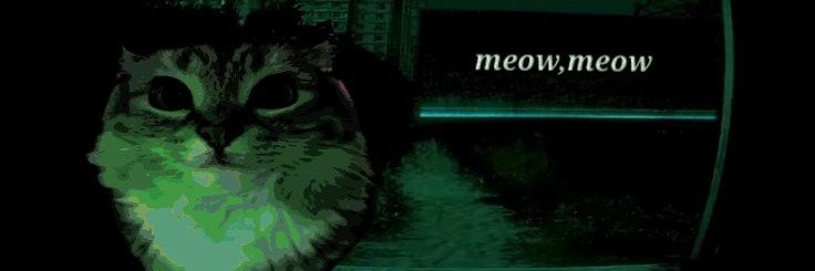 Pachi 🐾's banner