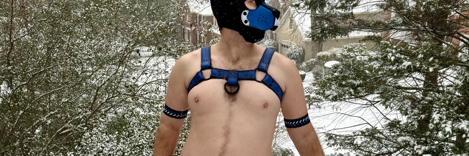 Carrot BunnyPup (Pup Carrot) 🔜 Eastern Xposure's banner