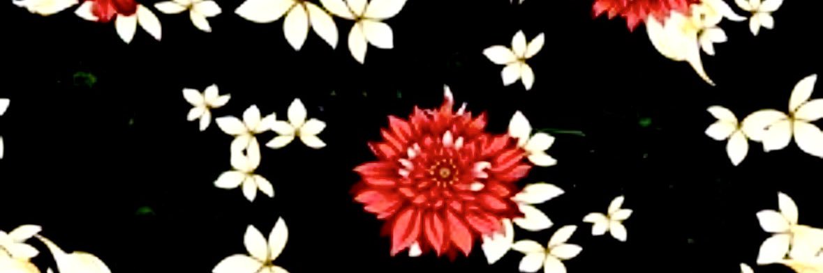 Ophelia Dailey's banner
