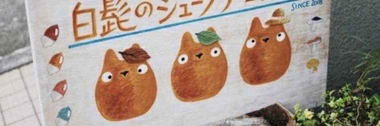 jo & that! 🍮 ˙ᵕ˙'s banner