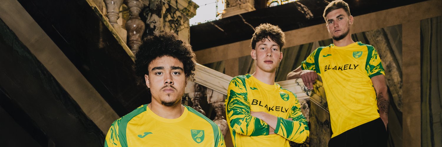 Norwich City FC's banner
