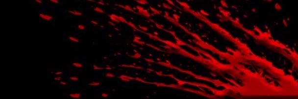Magnus?'s banner