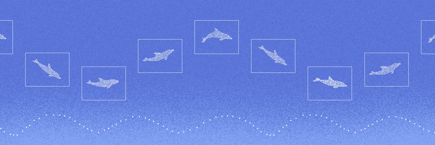 Dolphin's banner