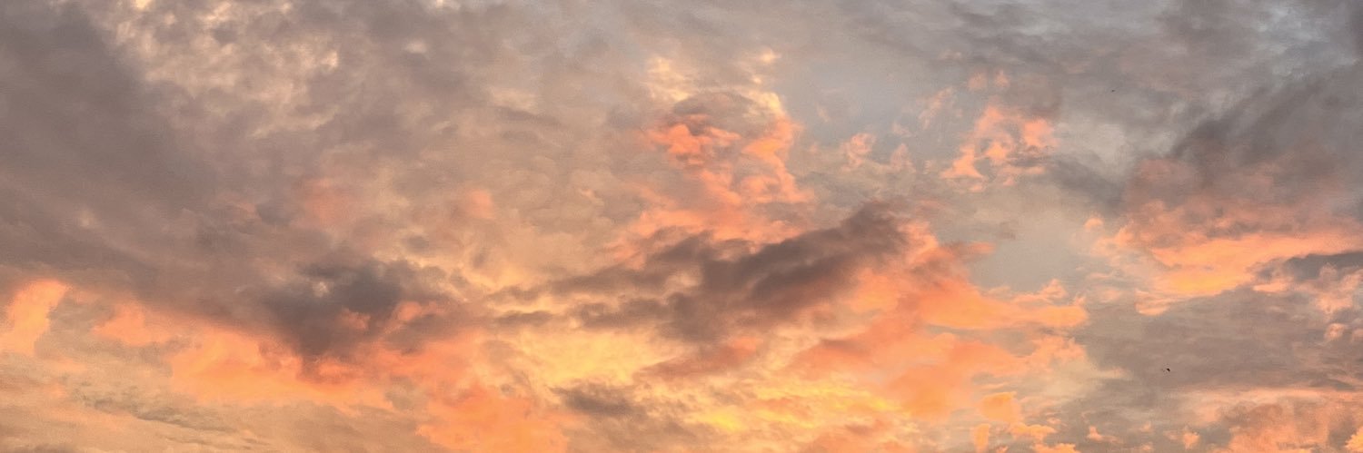 Senja's banner