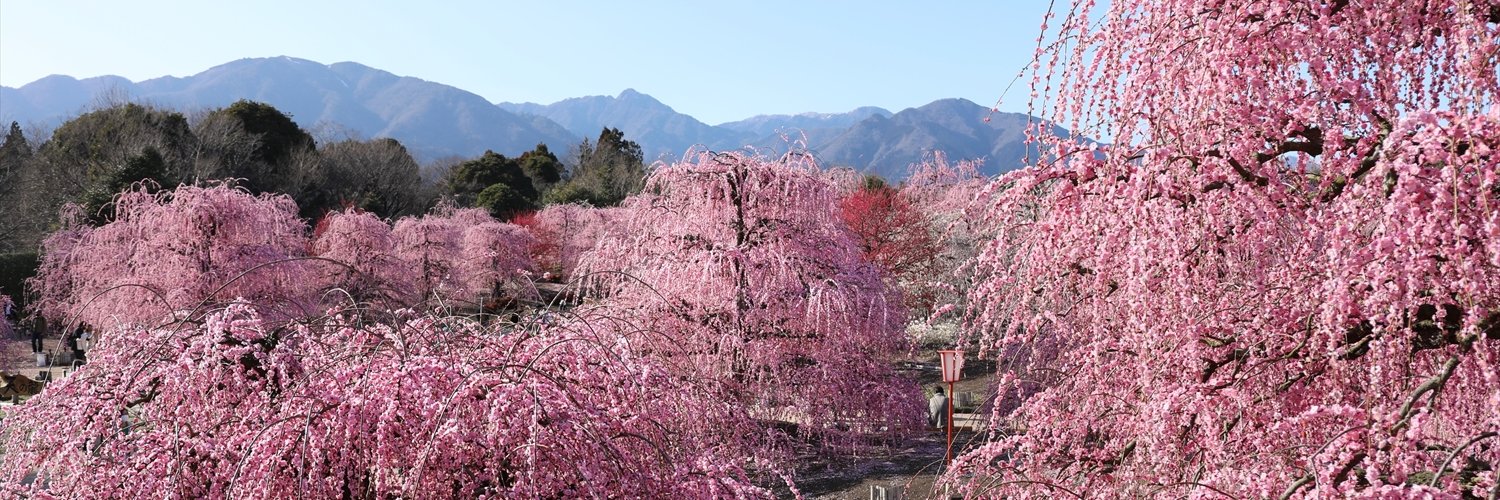 鈴鹿の森庭園🌸2026年営業終了🌸's banner