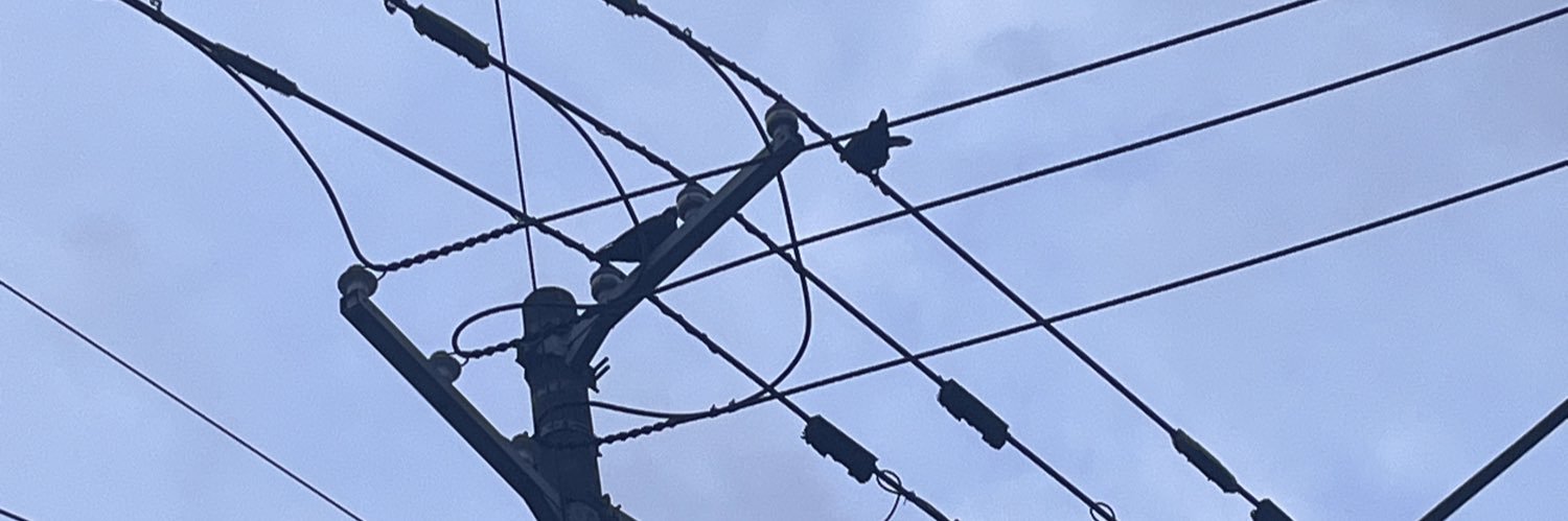 拾ü₍ᐢ. ̮.ᐢ₎'s banner