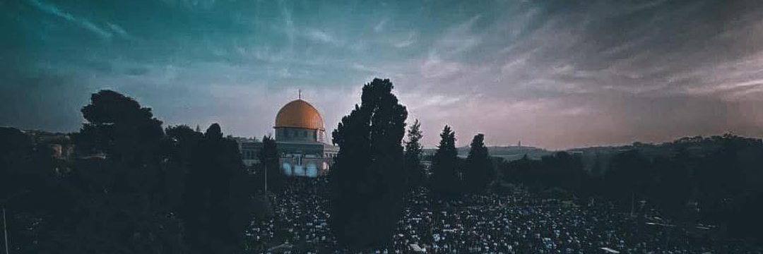 الماوريسيو 🍉🇵🇸's banner