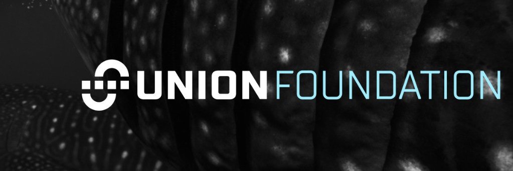 Union Foundation's banner