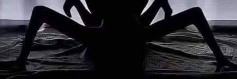 Mucho Miedo's banner