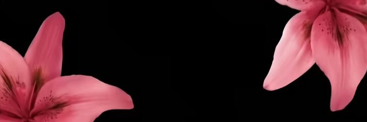 yasminnxo's banner