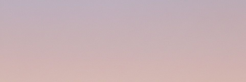 giulia ‧₊˚❀'s banner