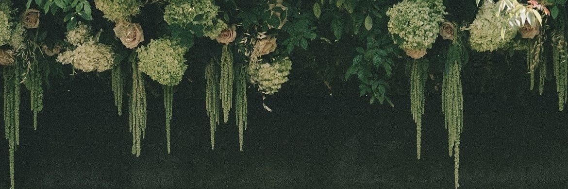 Bah (Hiatus)'s banner