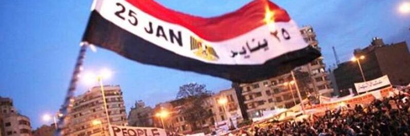 سي سلامة عبد الحميد's banner
