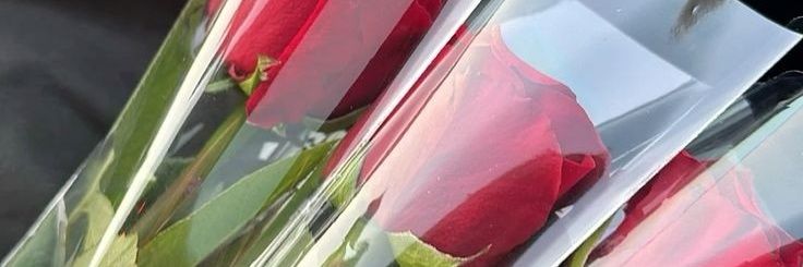 Neha🦋🦋's banner