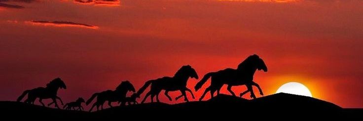 Ana Paula 🦋's banner