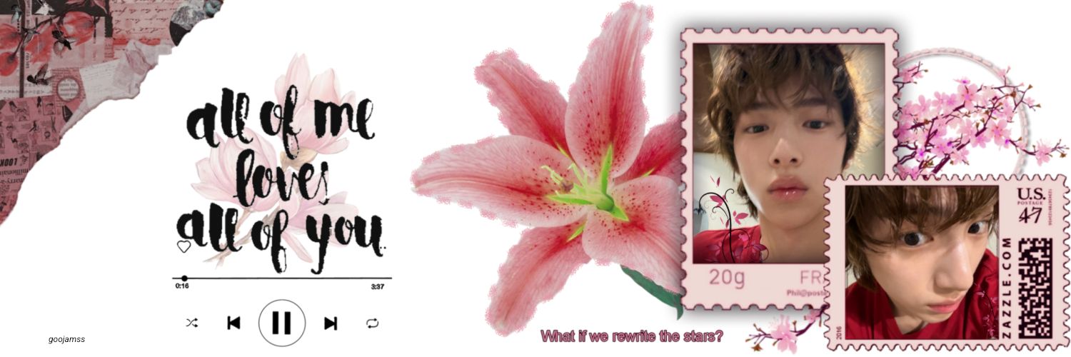 missy 𖹭 acai ‎ꫂ᭪݁⋆'s banner