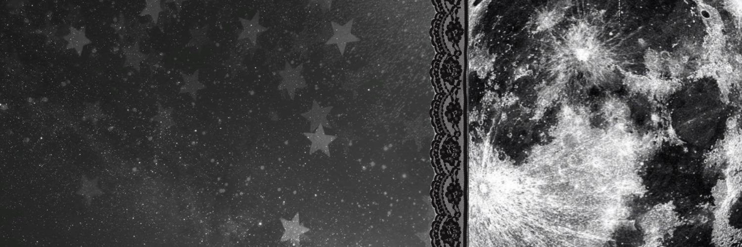 moon of eviltwt ☾ fly's banner