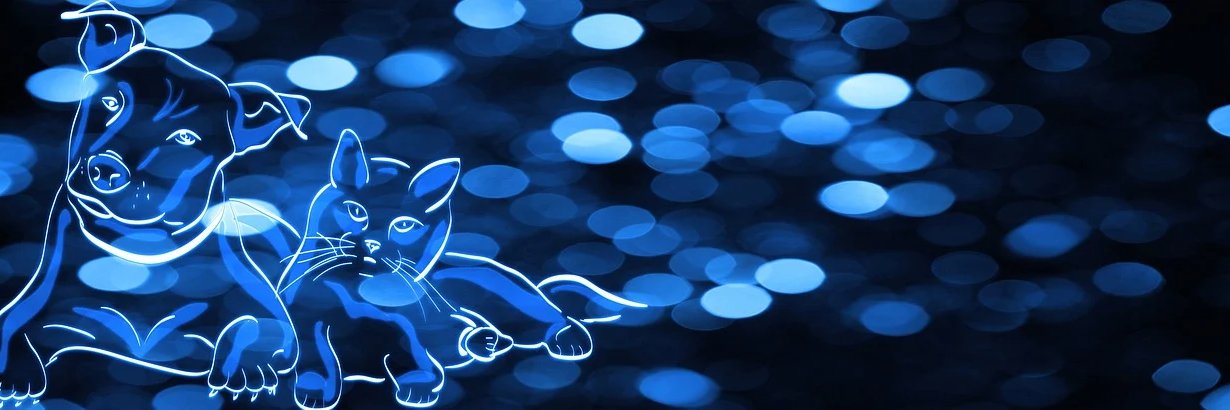 ハーフモデルのレイカ's banner