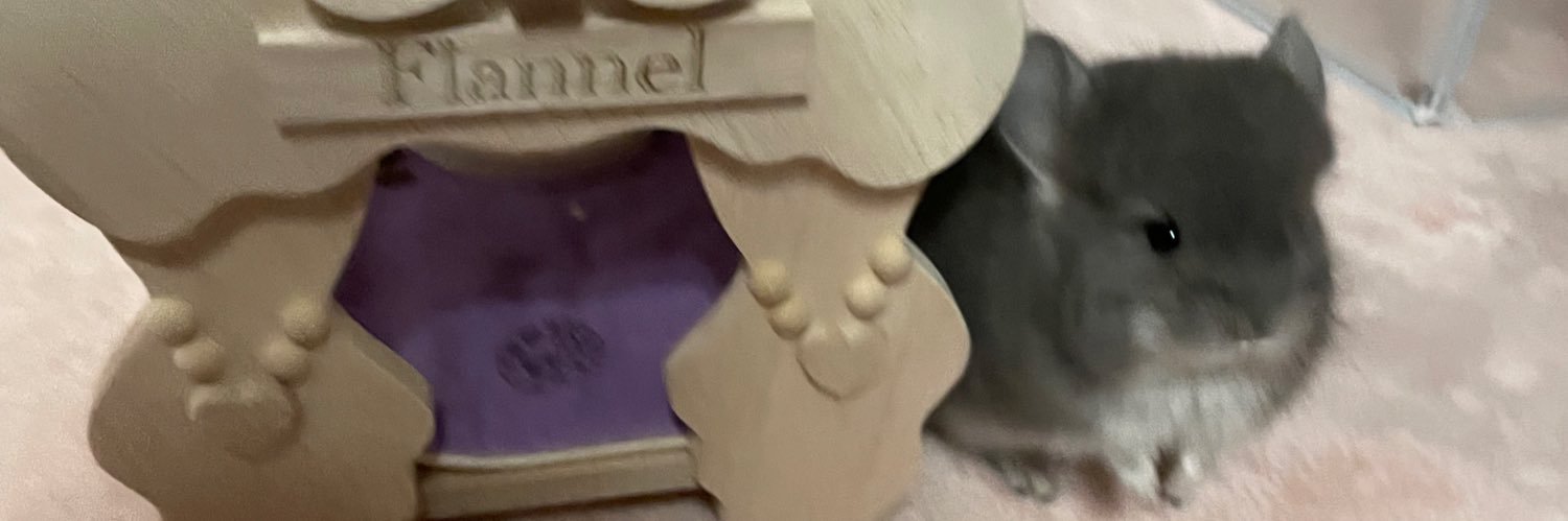 ふらんねるお嬢様🫖チンチラ's banner