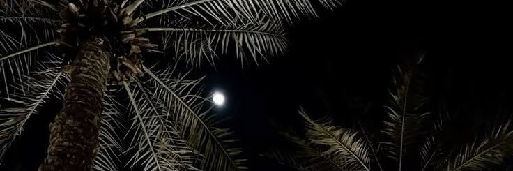 أَندلس .'s banner