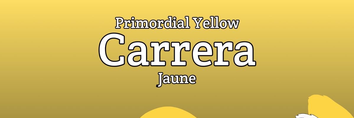 Carrera💛✨'s banner