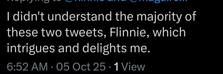 Flinnie's banner