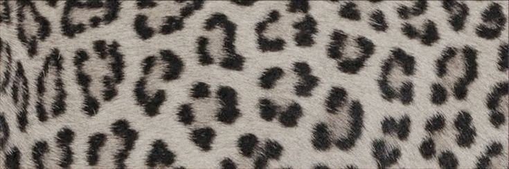 َ's banner